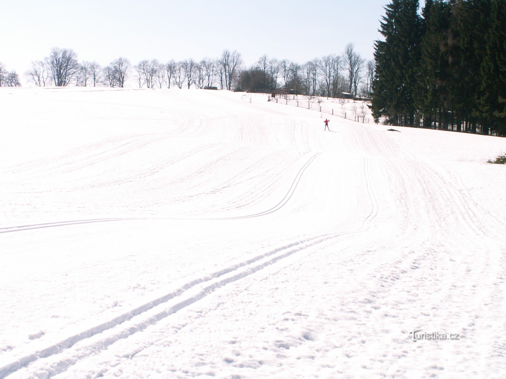 Tracks in the ski area