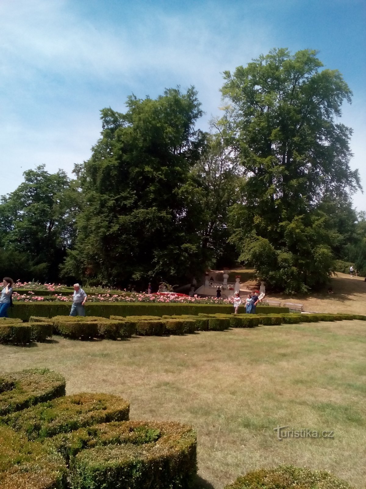 grass and flower beds