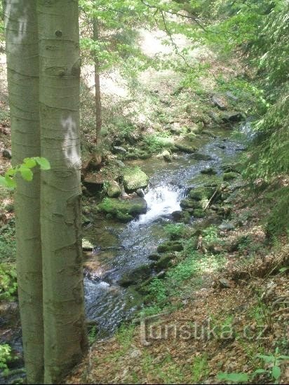 Travensky stream