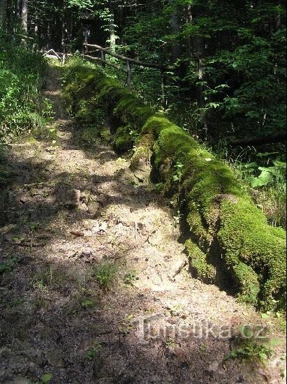 Travertijncascade: natuurlijke attractie - travertijncascade in het dorp Tichá