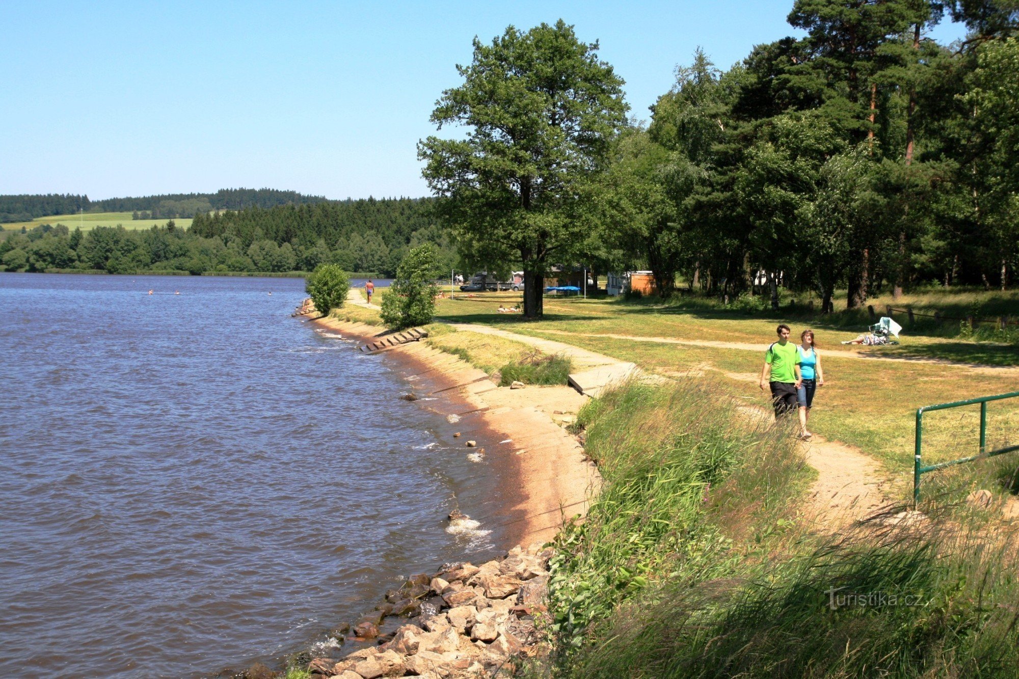 Grassy beach of the pond