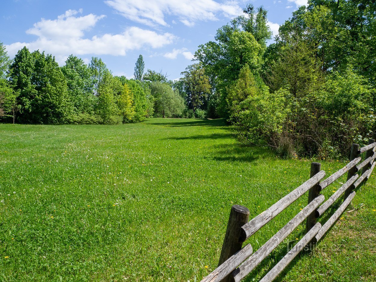 Travnik pod ribnikom