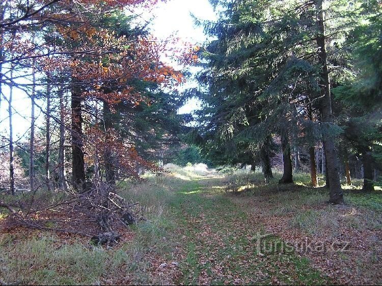 Pomnik trawy: Pomnik trawy - kierunek Velký Travný