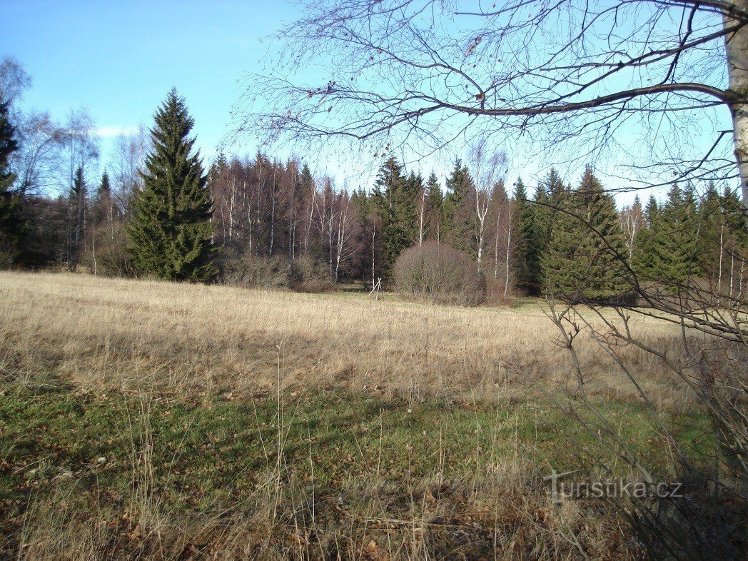 Trčkov travnik