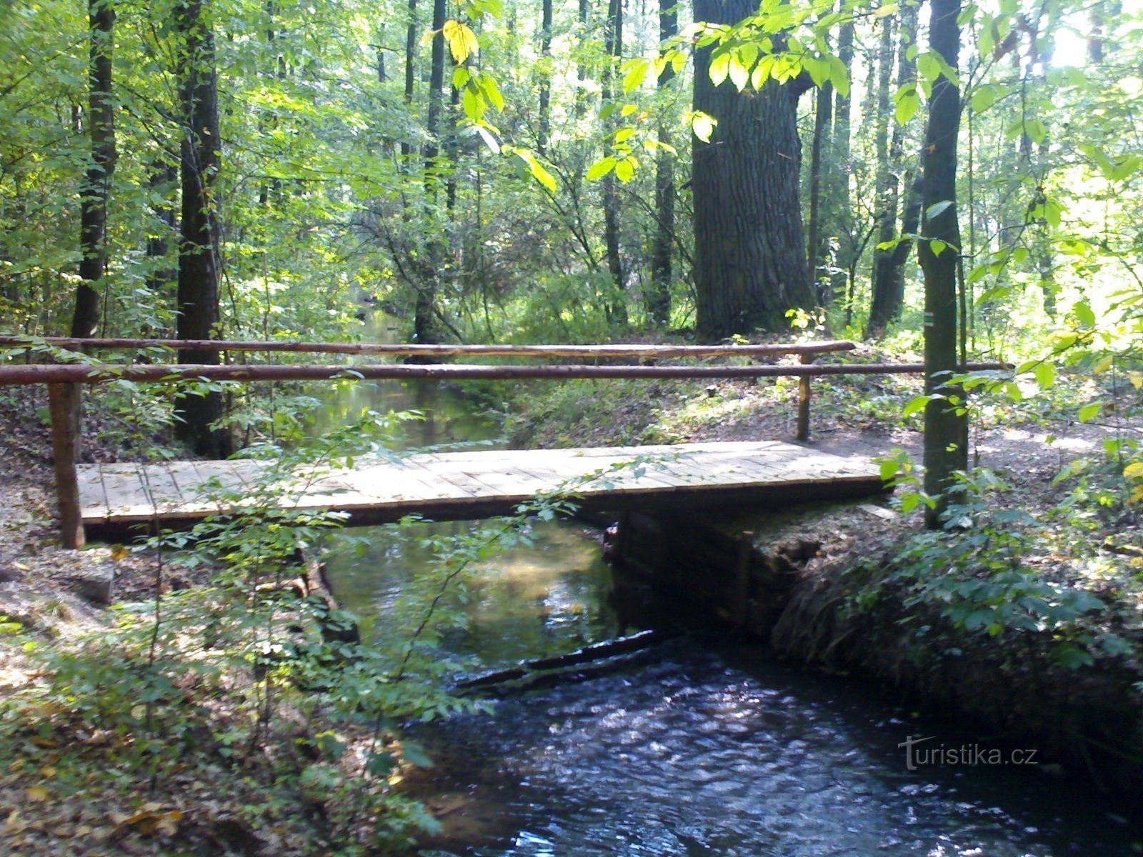 Route de Třebechovic - Alba