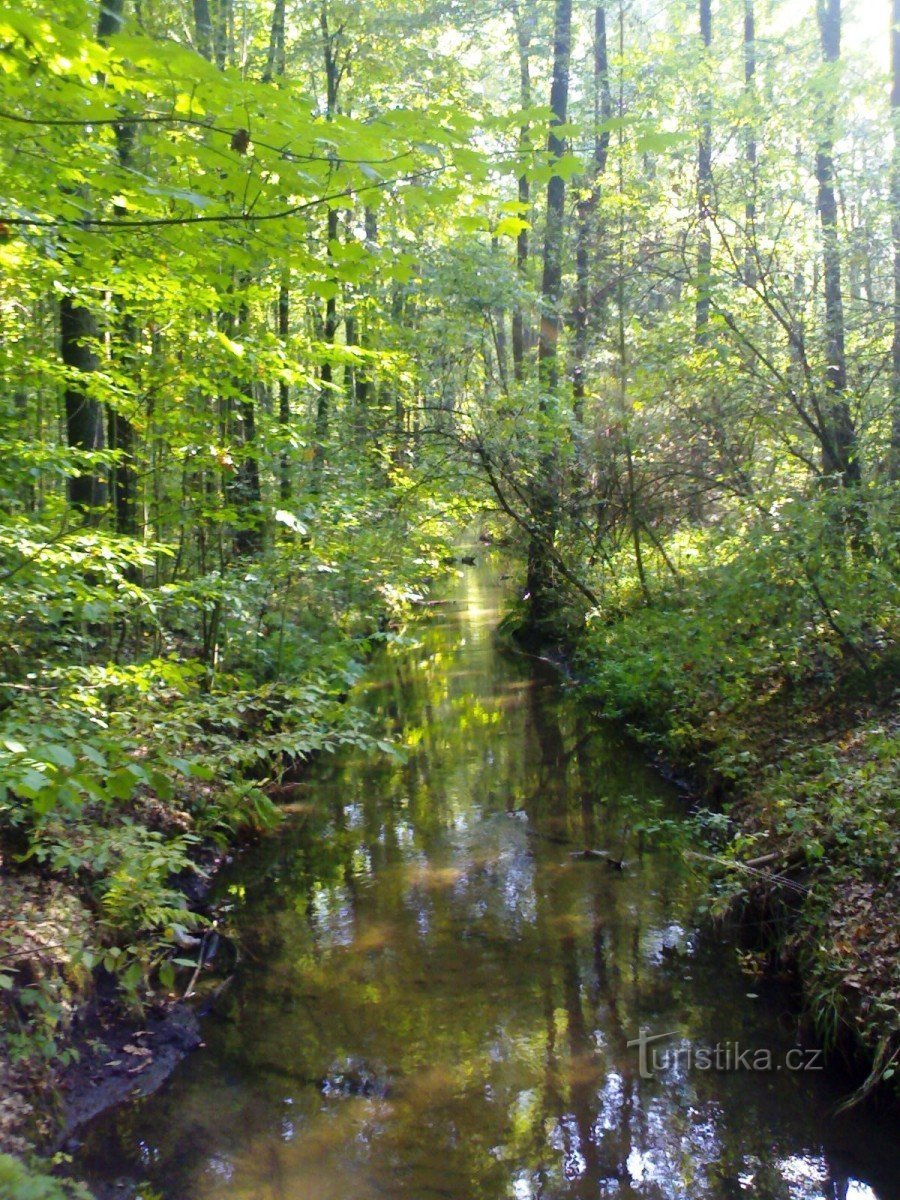 Route de Třebechovic - Alba