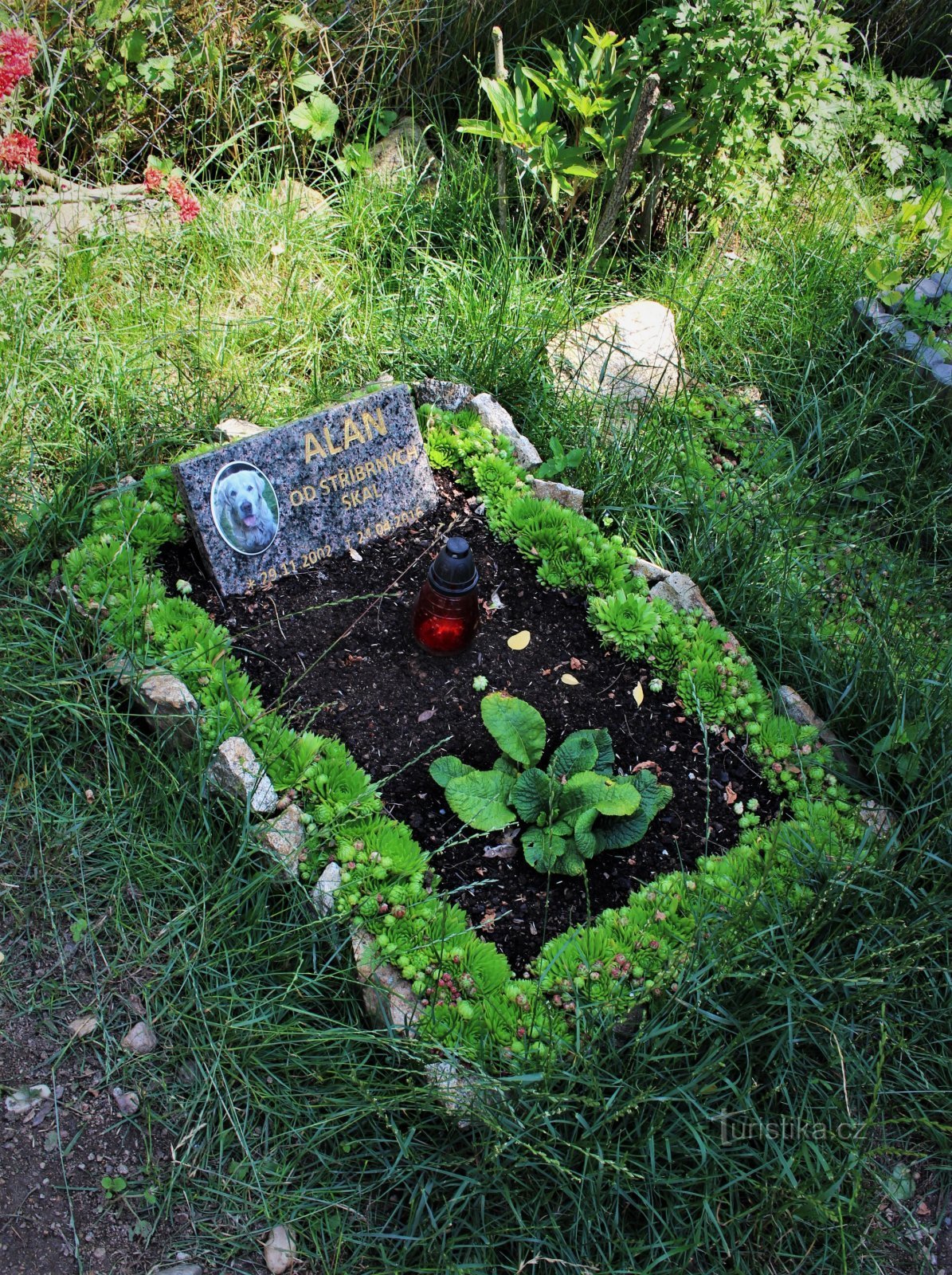 Třebíč - Strážná hora の犬の墓地
