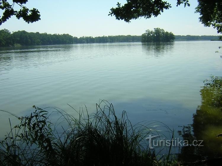 Lagoas de Třeboň