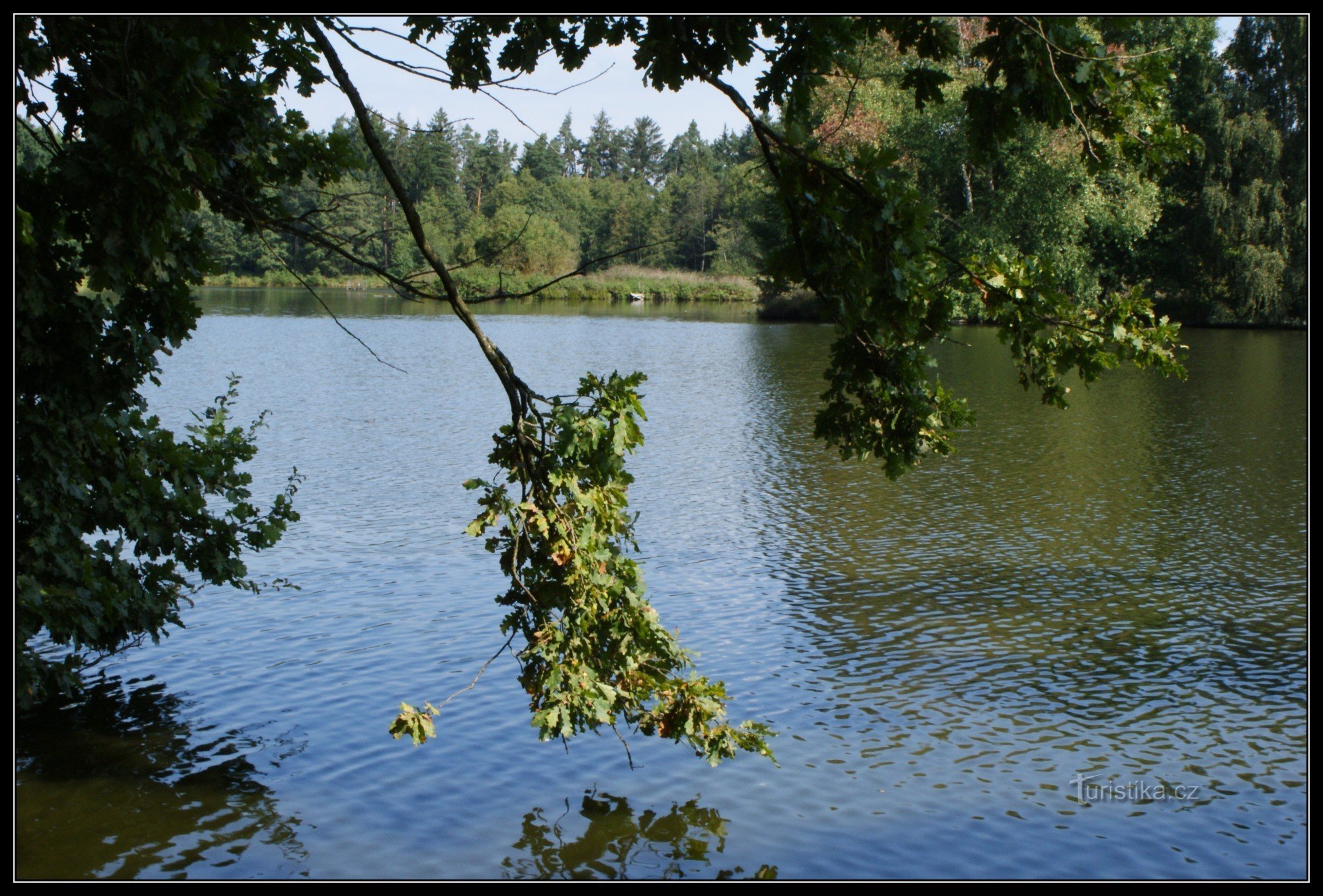 Třeboň ponds