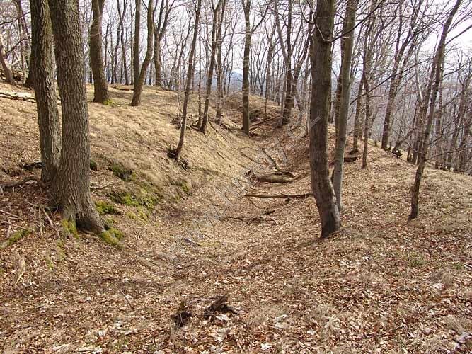 Třebovské hradisko