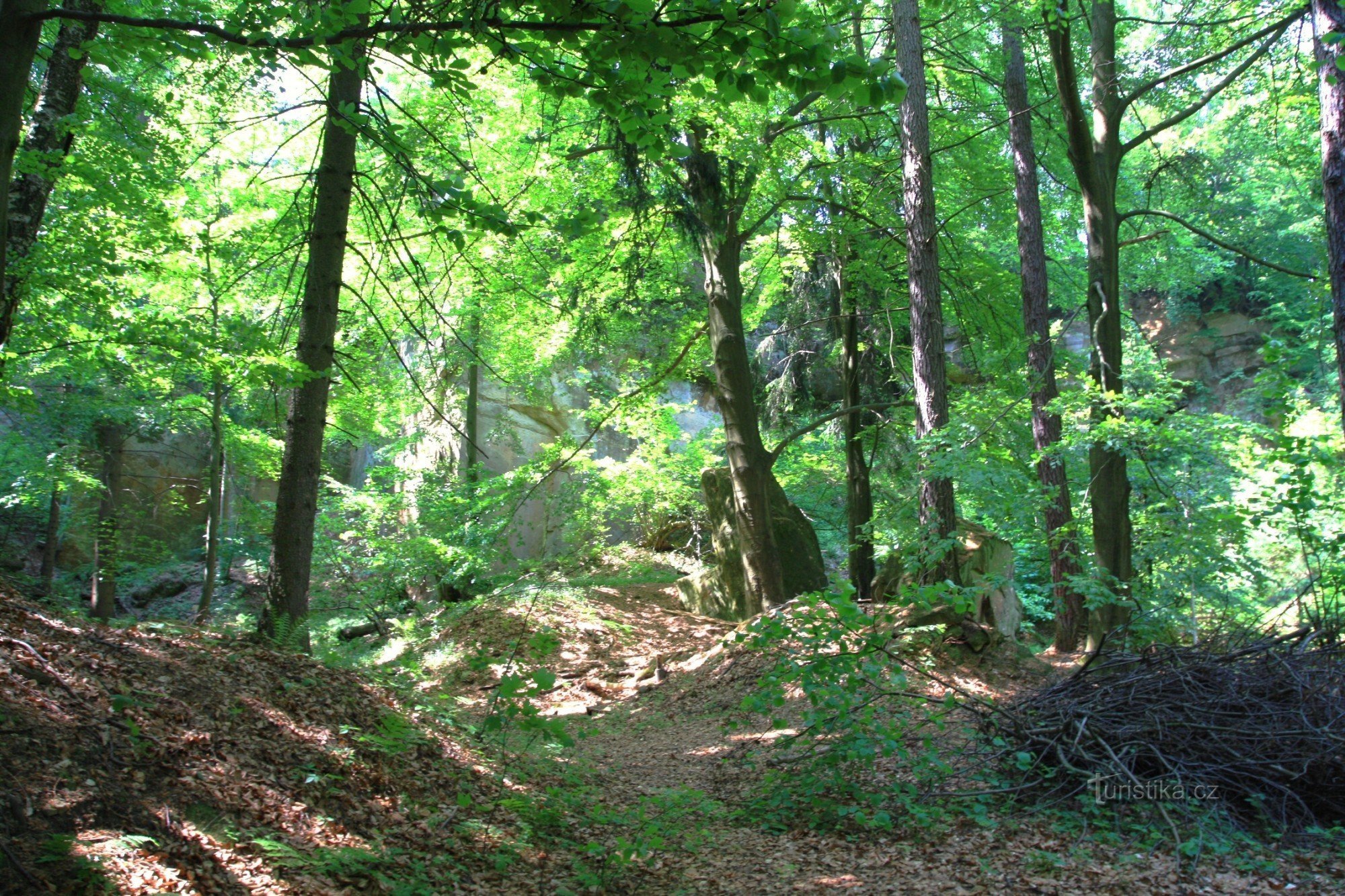 Mura di Třebovsk