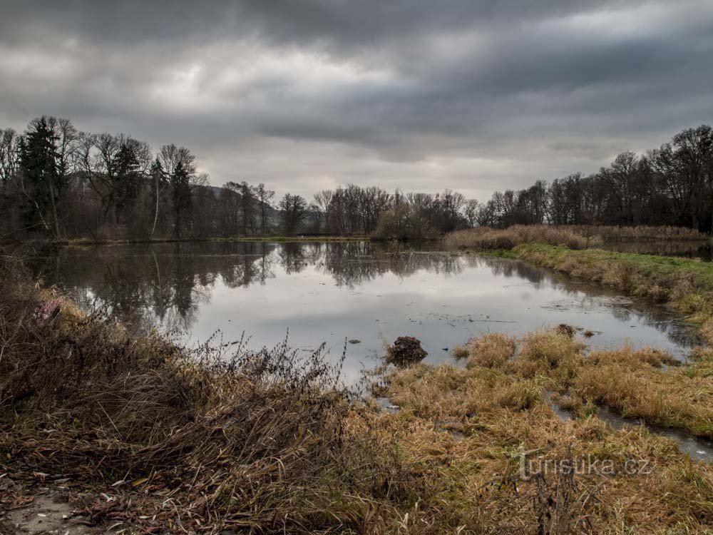 Spawning pond