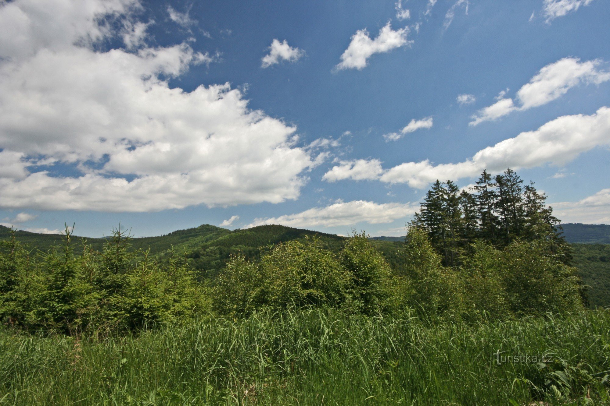 Třemešek - bosques circundantes