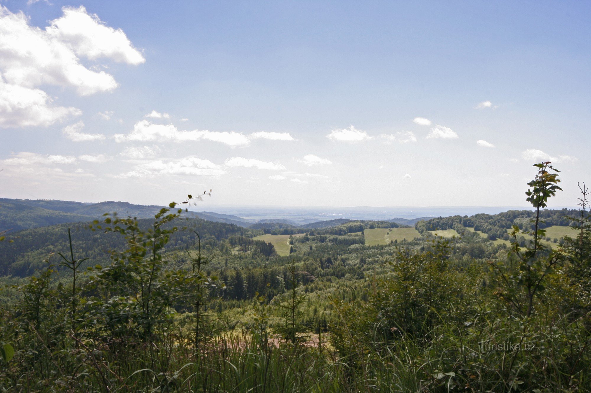 Třemešek - omgivande skogar