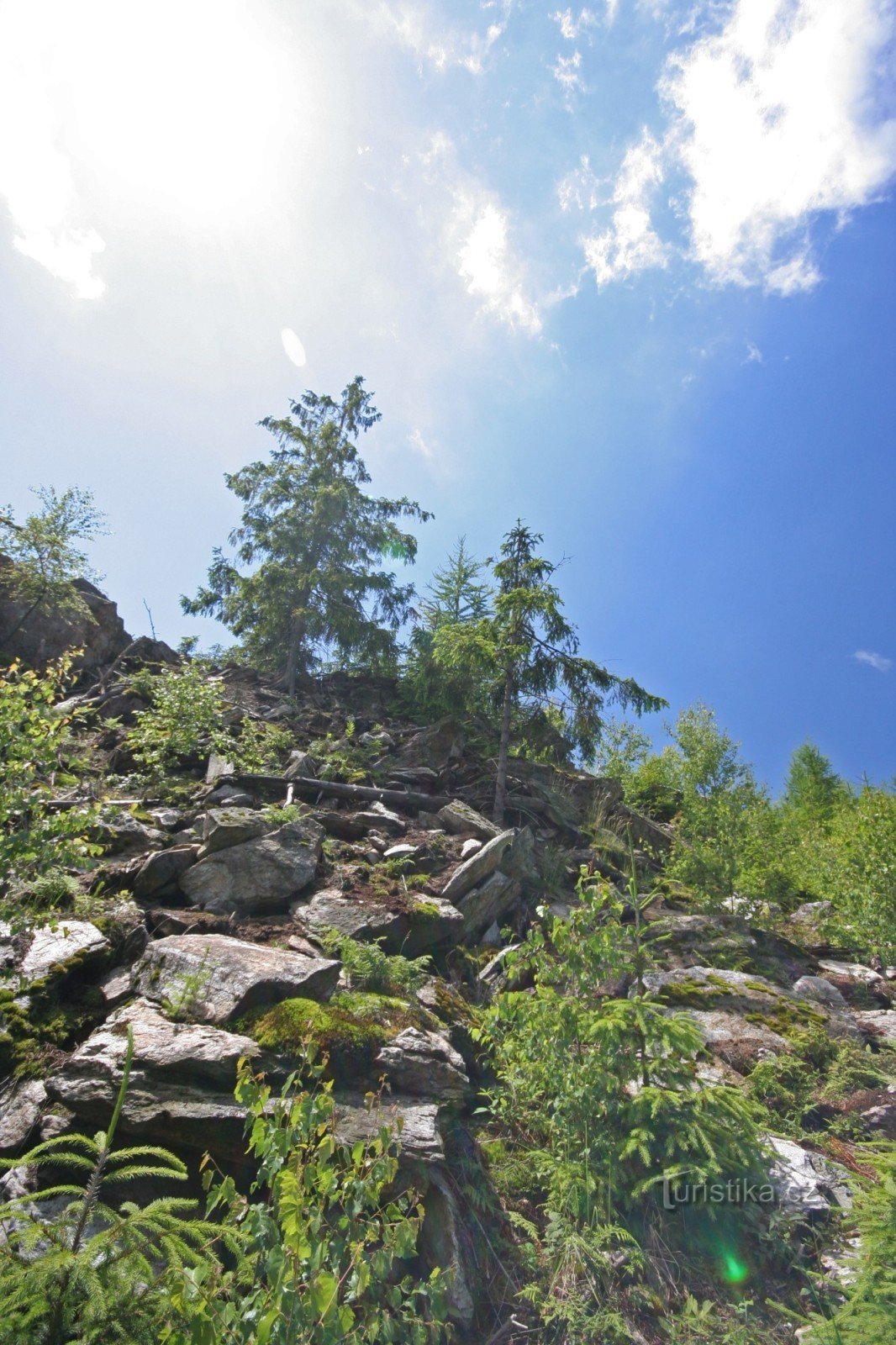 Třemešek - umliegende Wälder