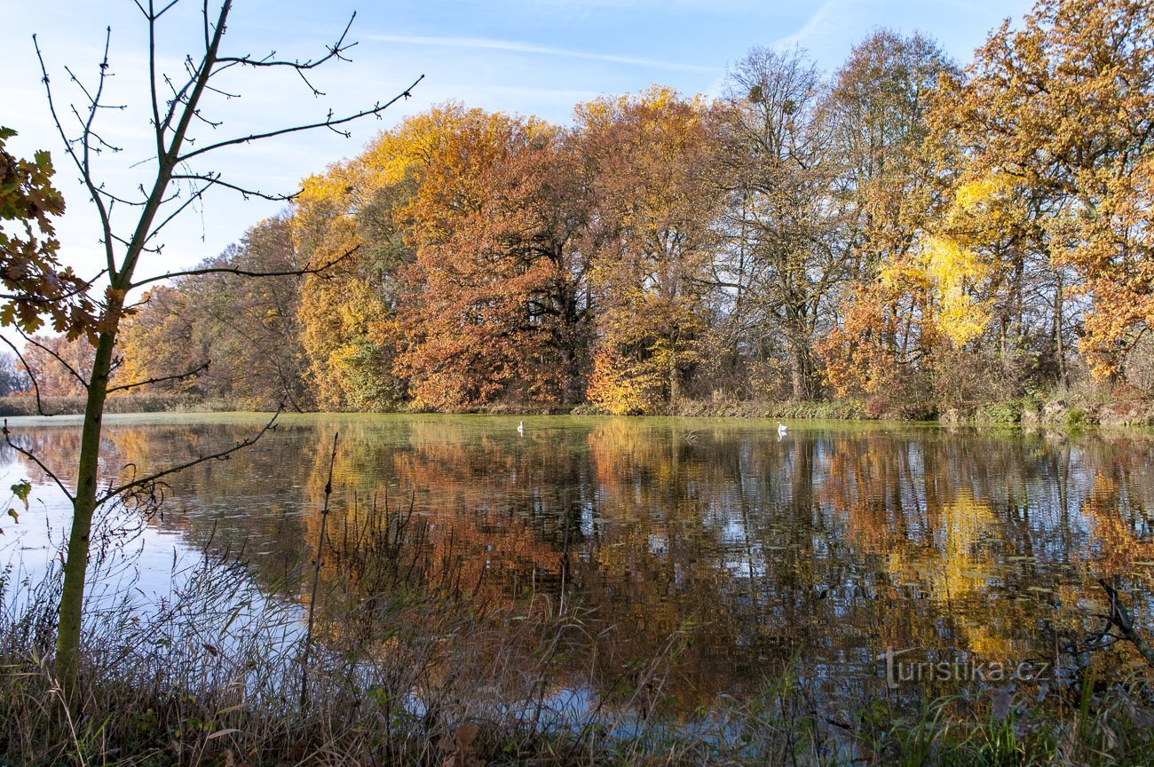 Lagoas Třemešské, U Lípy