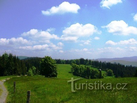 Třeštík - Hutisko - Solanec, Čarťák (автобус)