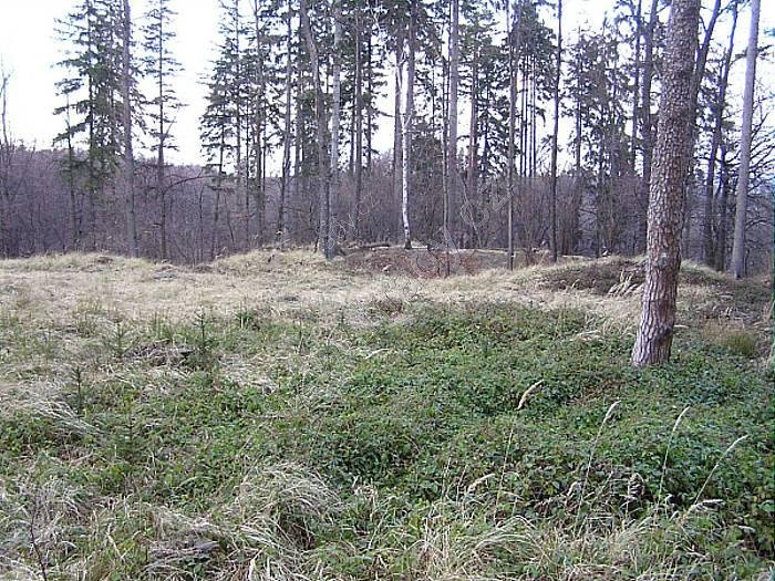 trhová ves s tvrzí Frýdberk-Lipina