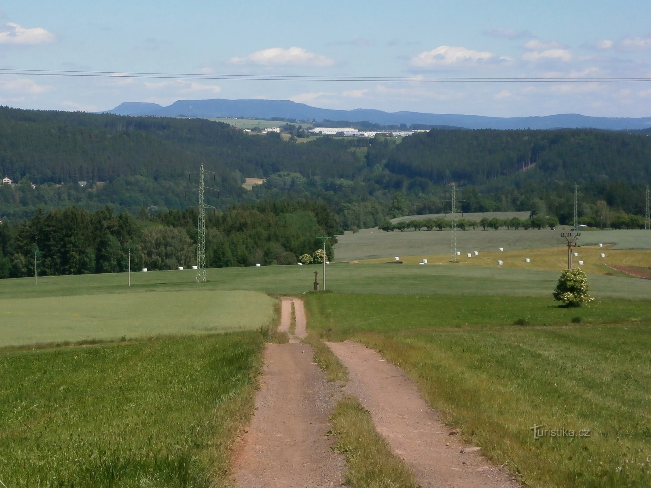 Trhovka (Libňatov, 6.6.2016.)