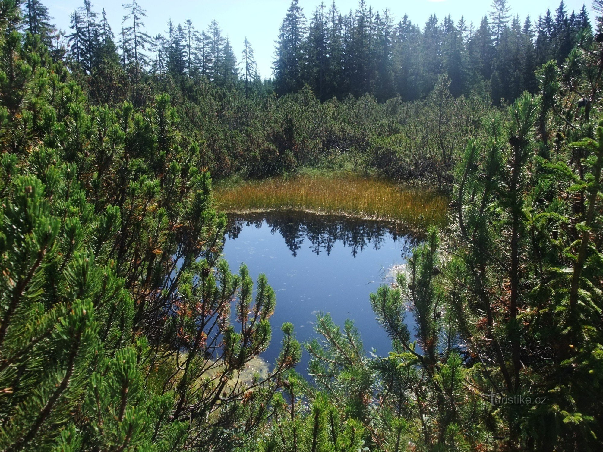 Pantano de tres lagos - uno de los lagos