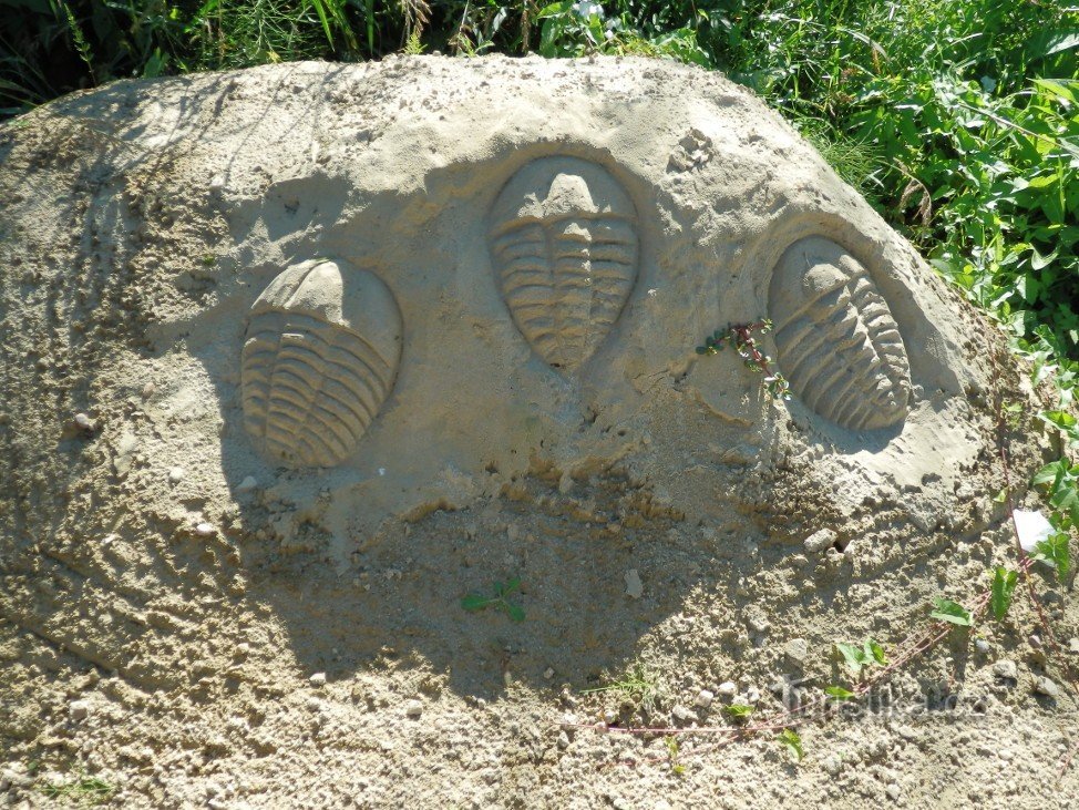 Trilobiet