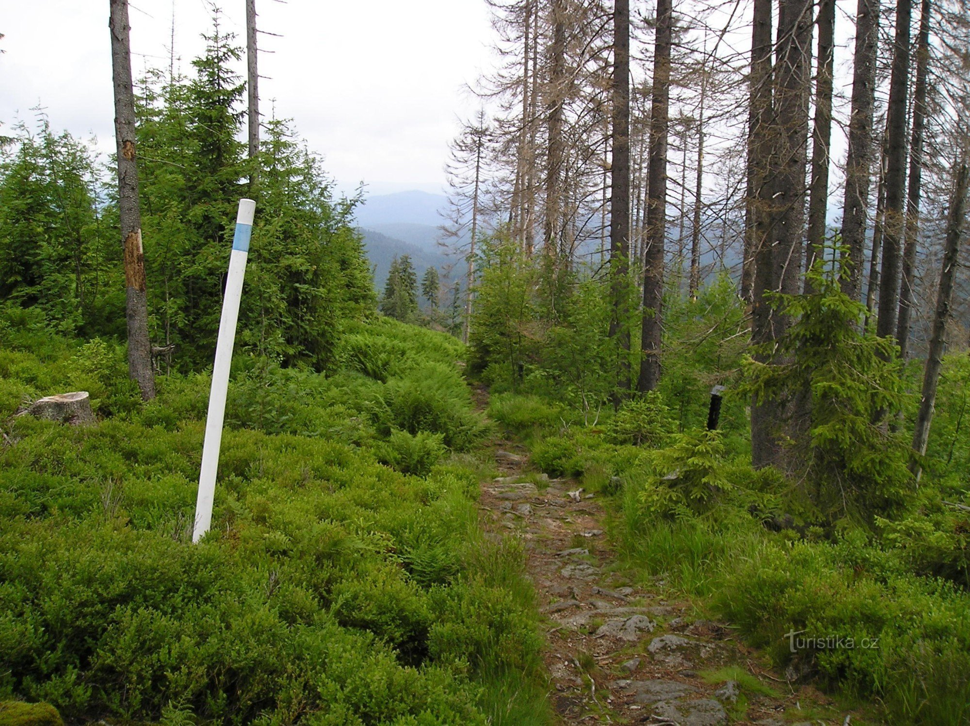 La route frontalière à trois places, depuis Stožec