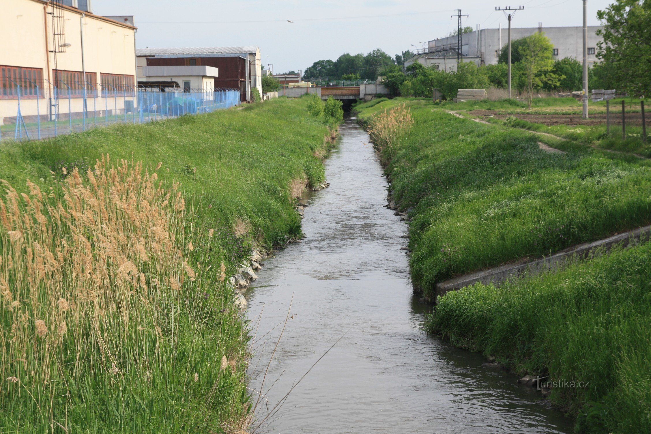 Trkmanka in Velke Pavlovice