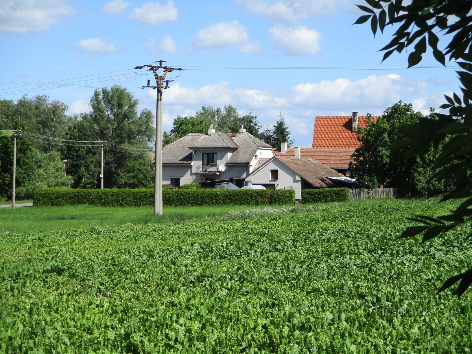 Trnava from Puchlovice (30.6.2020)