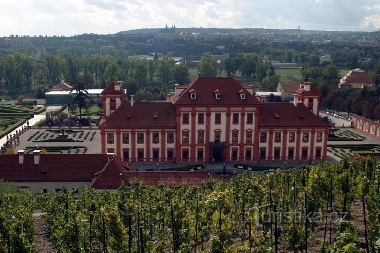 Trojký zámek: Pohled přes vinici z botanické zahrady