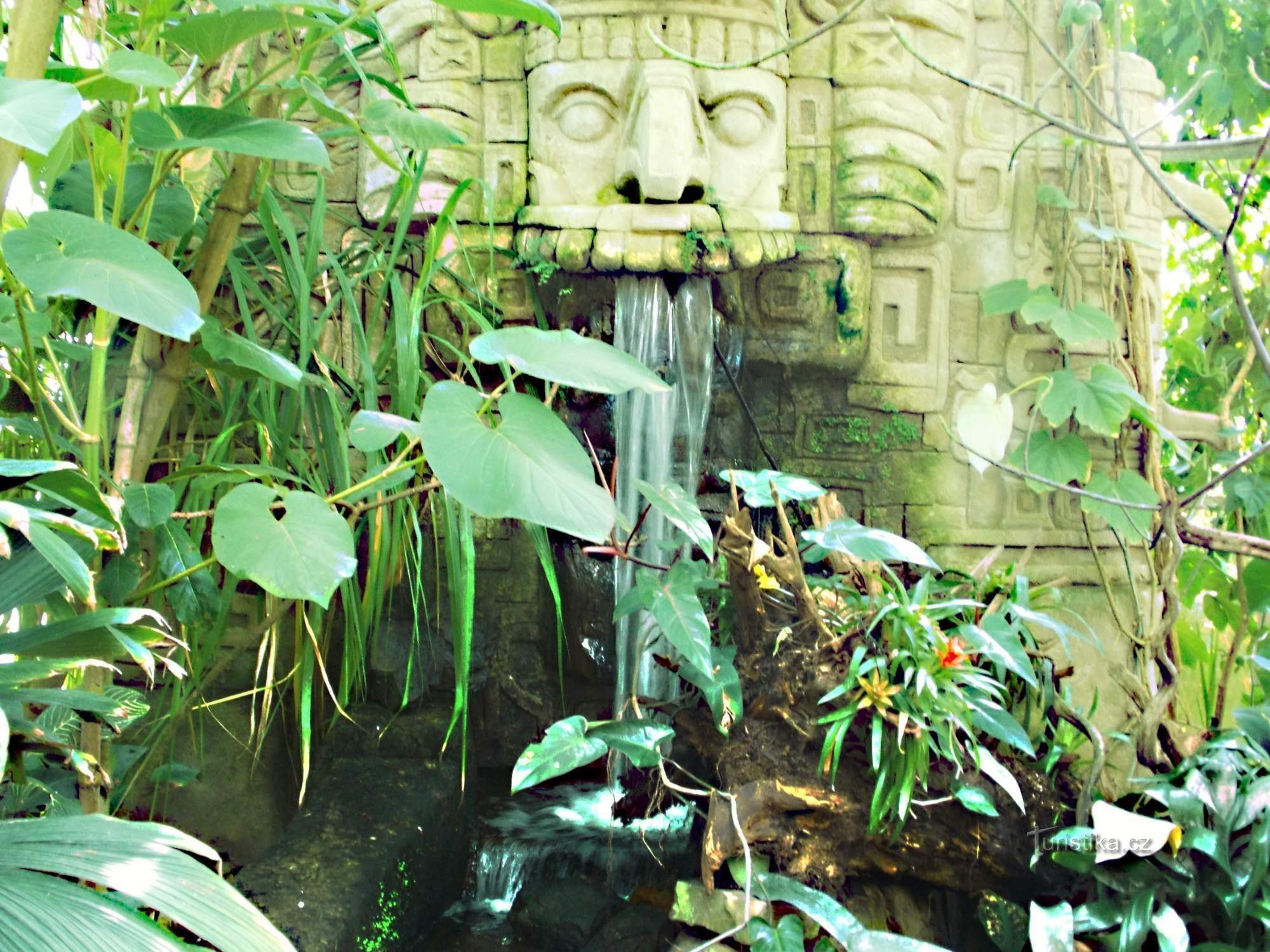位于兹林附近 Lešná 的 Yucatán 大厅展馆中的热带森林