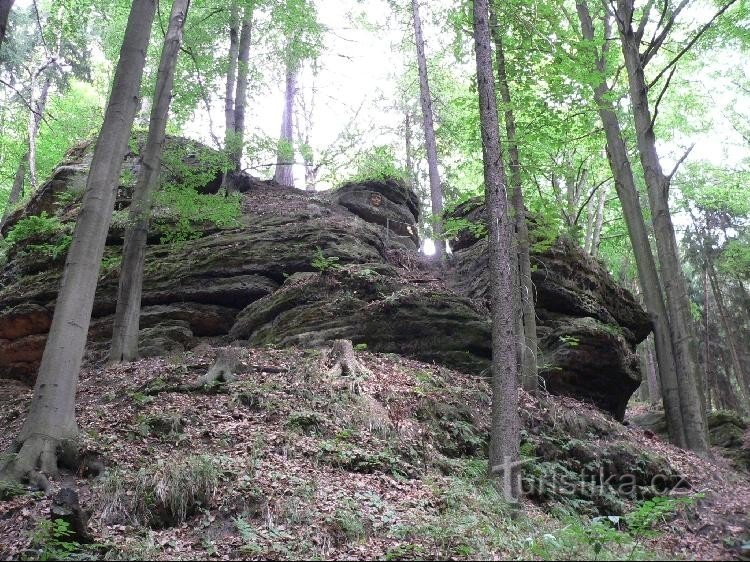 Dwarf Cave : La tête de Blanche-Neige est visible sur le rocher au milieu.