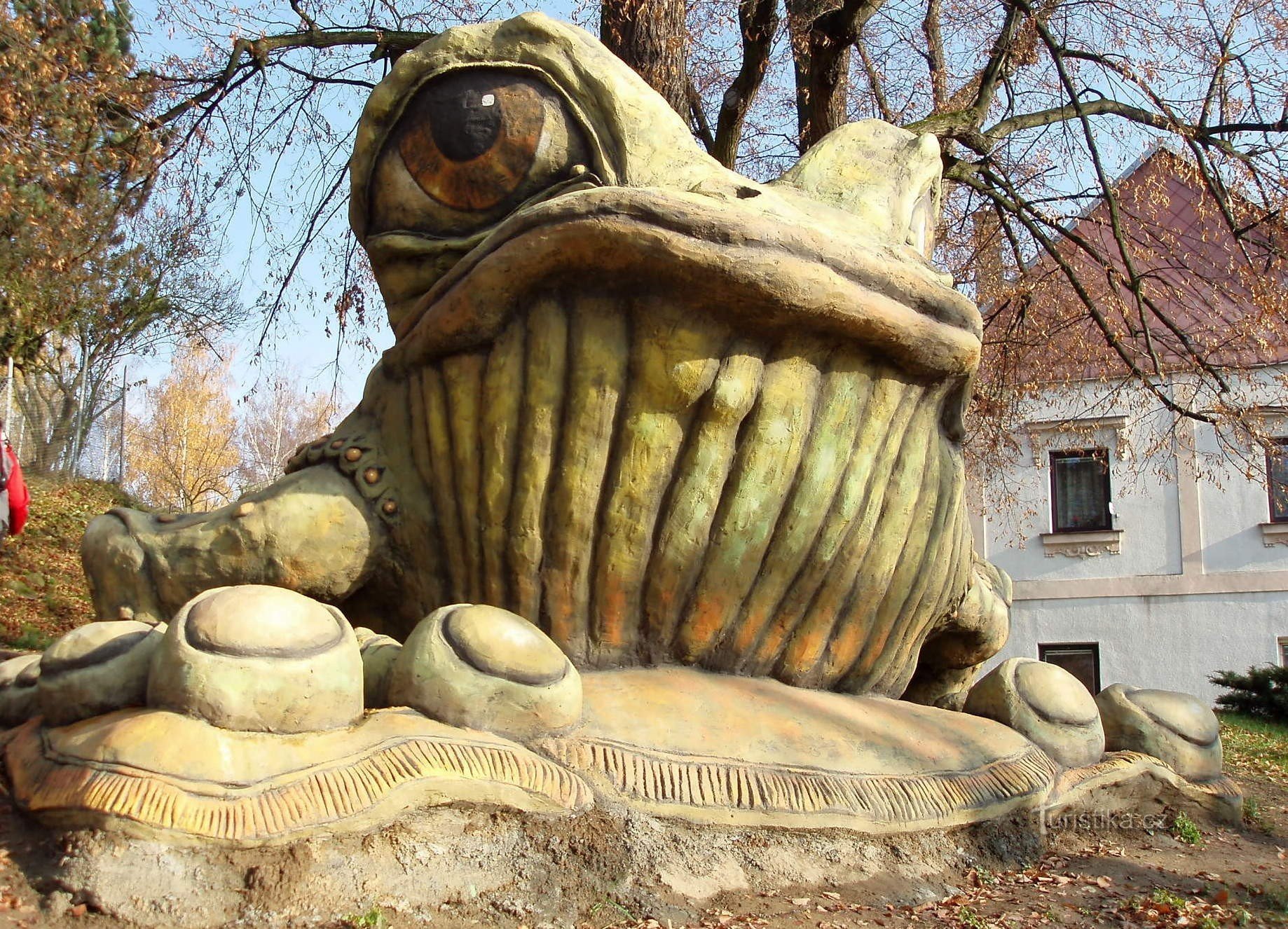 Tršice - 教堂里的一只青蛙