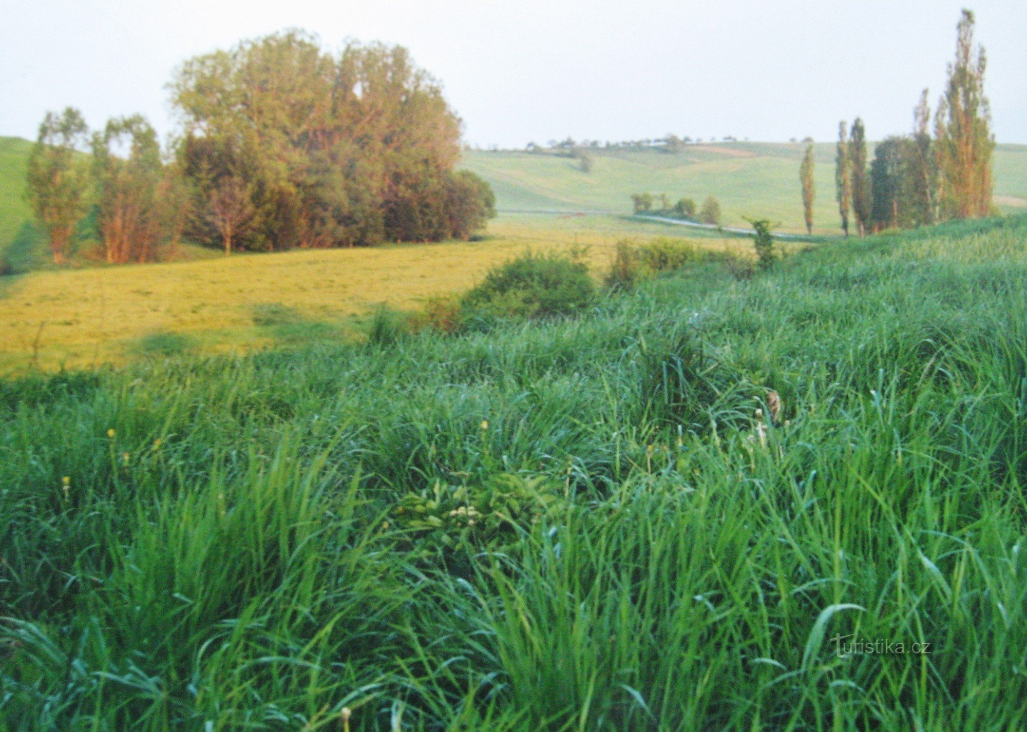 Trubiska - Lačnovky - Vařákovy Paseky - Lhotsko