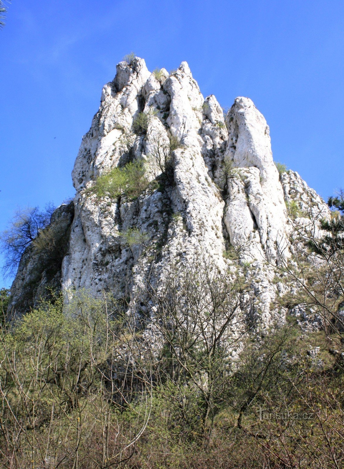 Throne in early spring