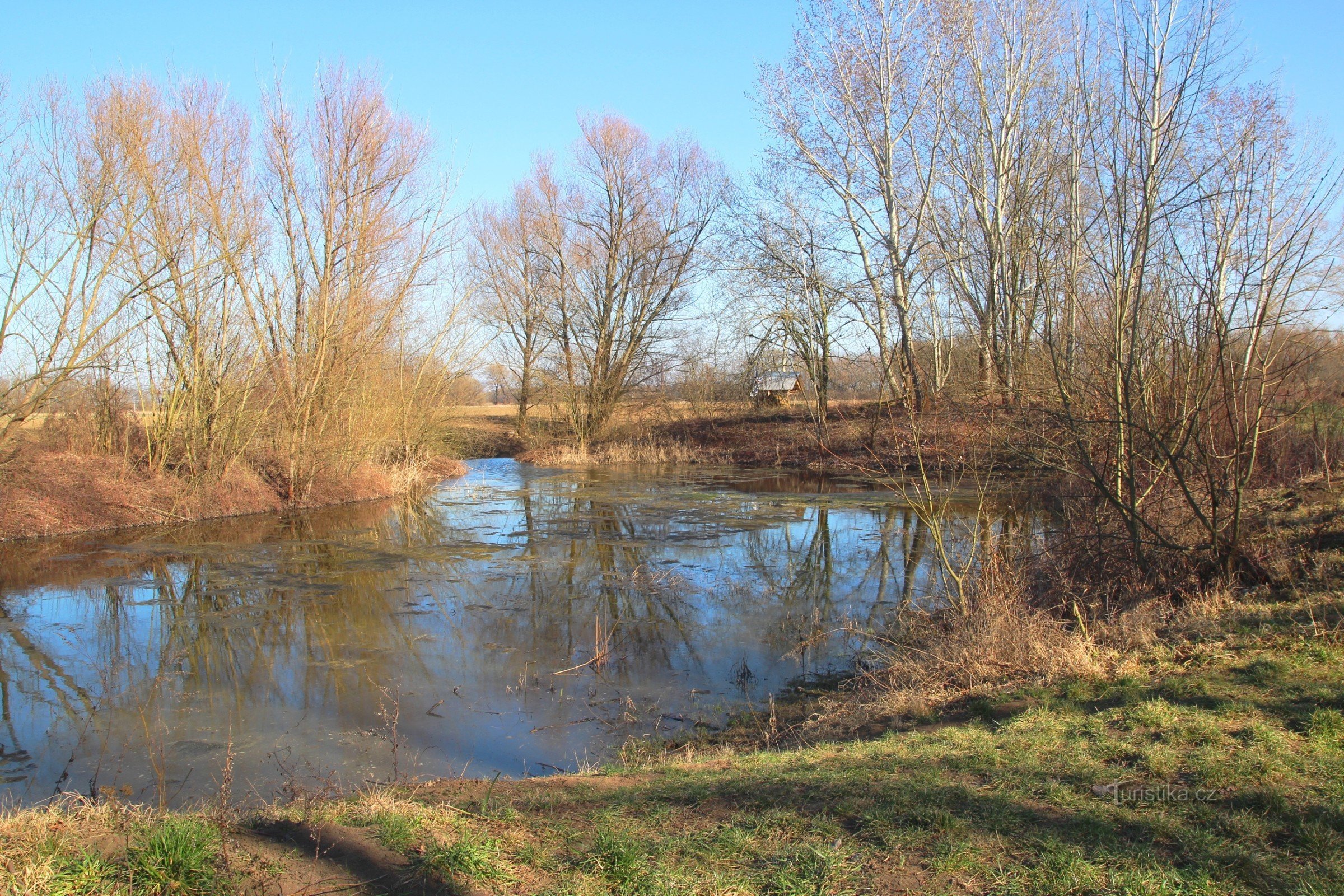 Ludmila Pond