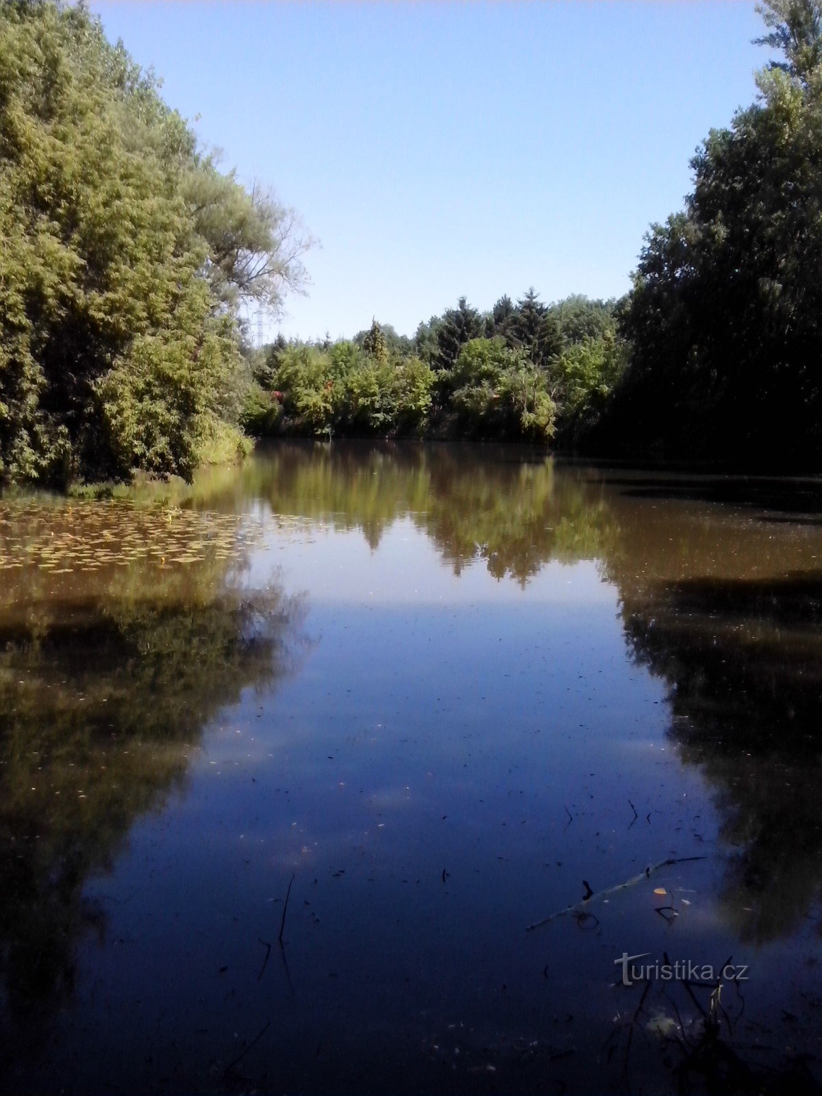 Pond near Kostelan