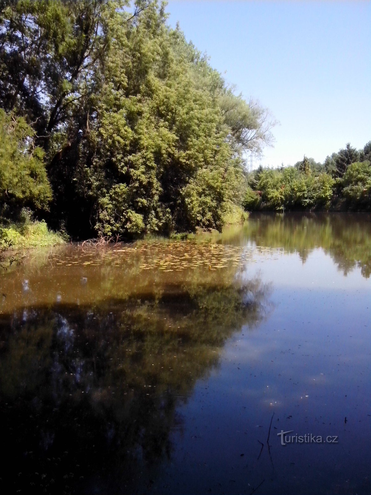 Staw w pobliżu Kostelan