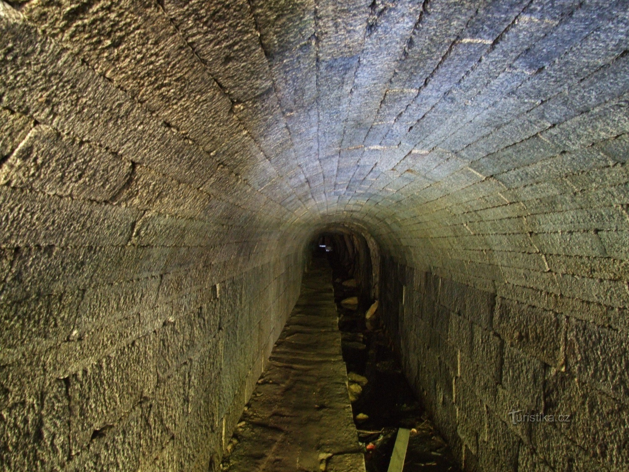 Тунель під спиною оленя