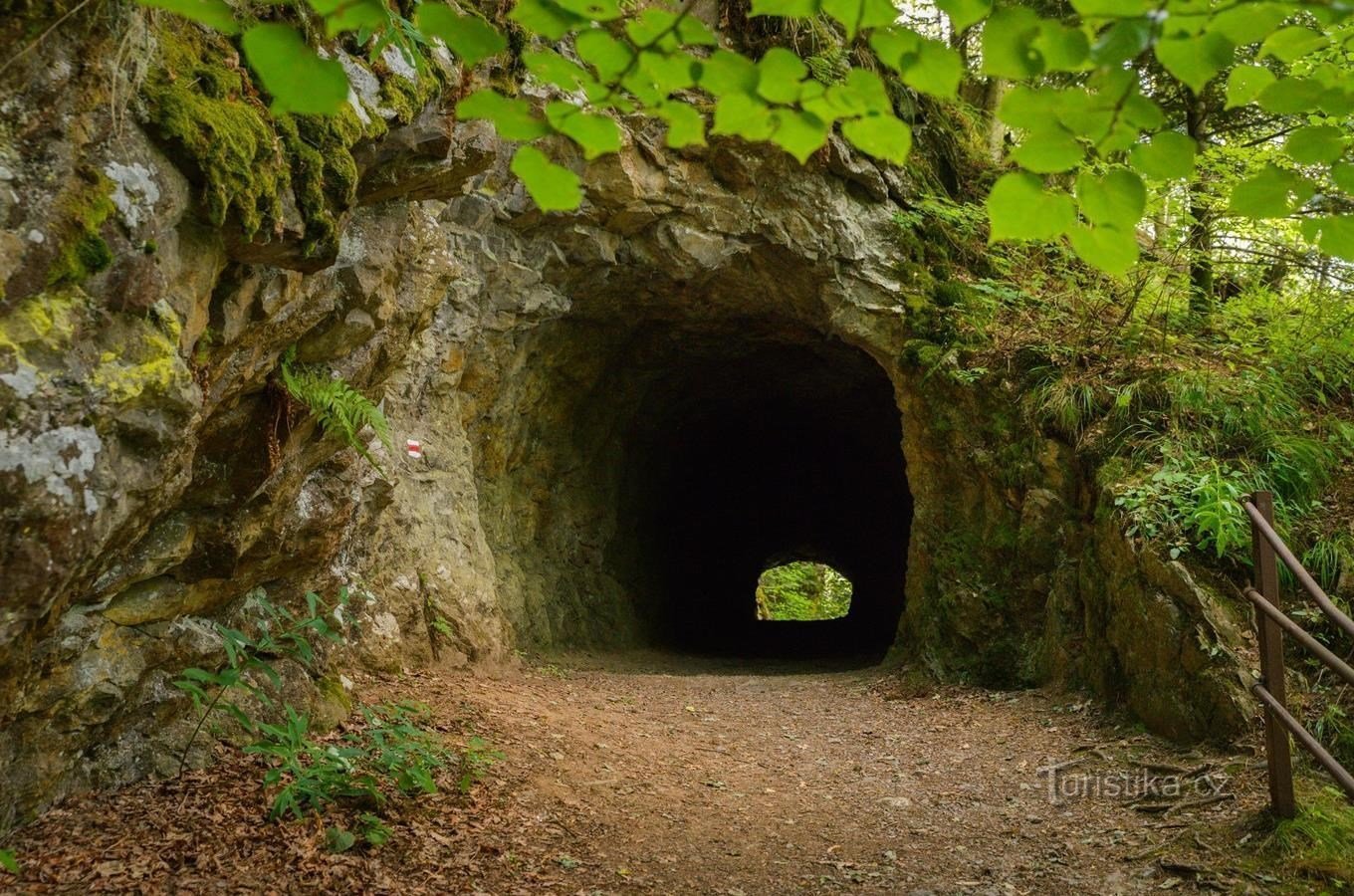 a tunnel cut in a massive rock wall