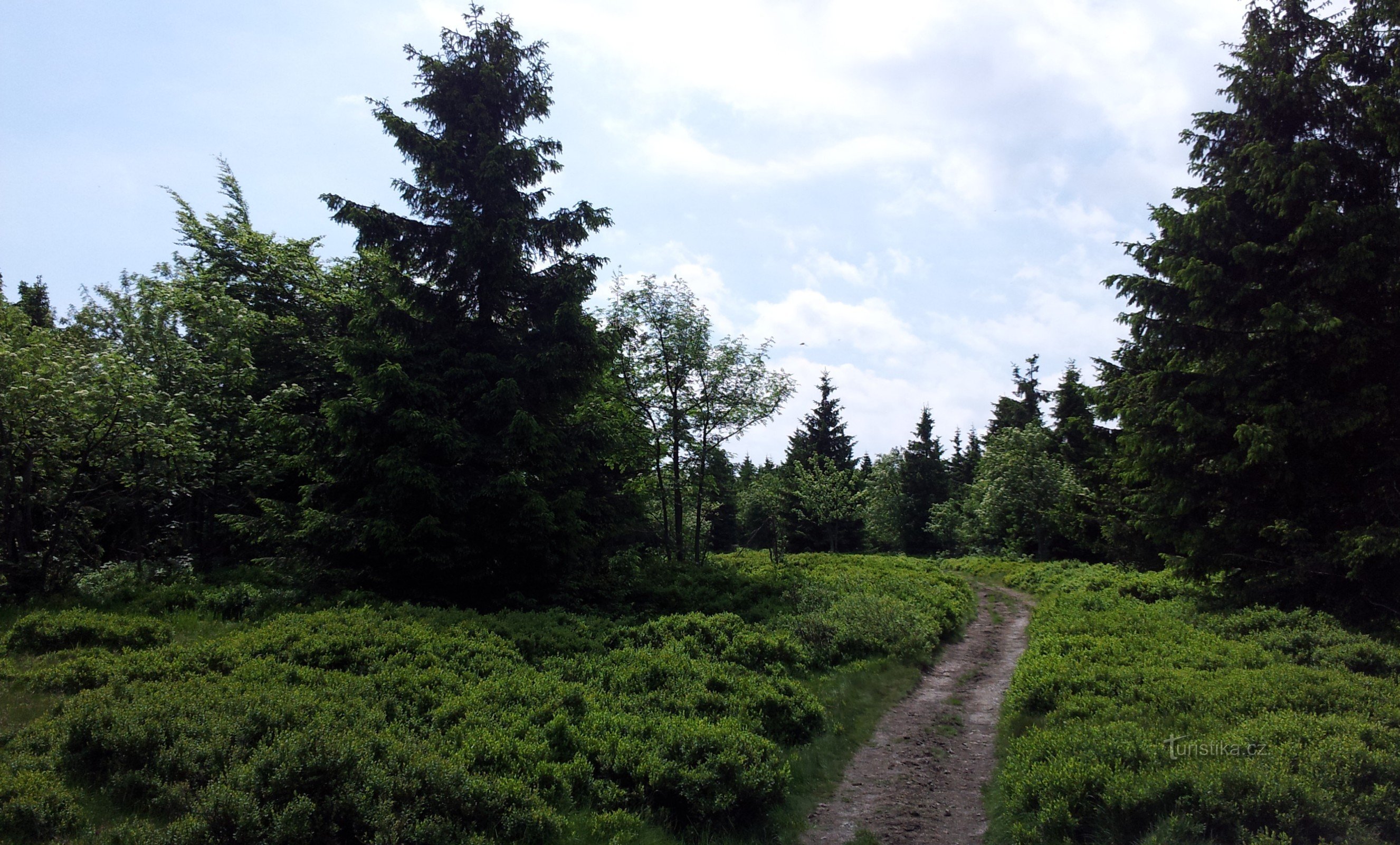 Hike for families with children: Šerlich - Vrchmezí - Deštné