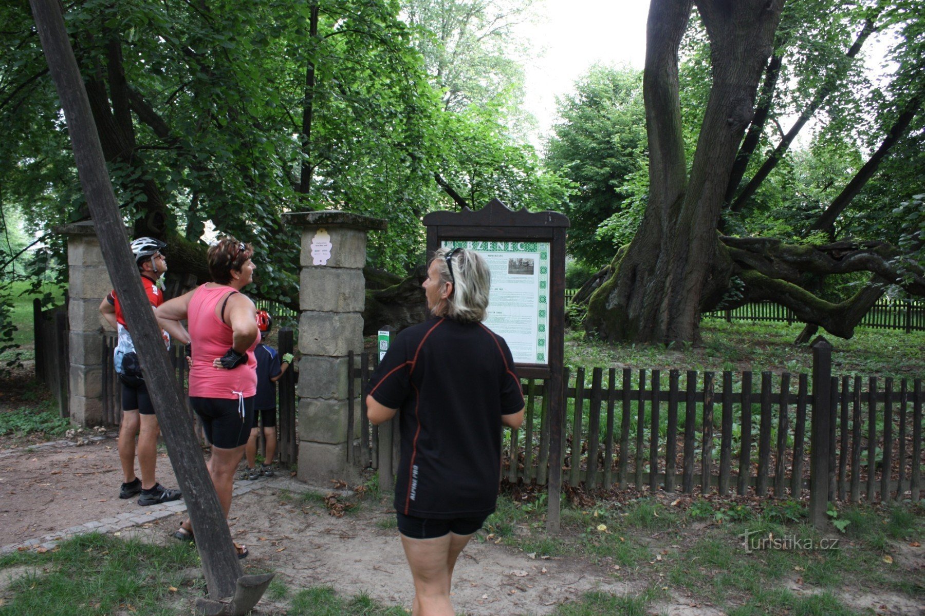 Turistična znamenitost - Bzenecka lipa