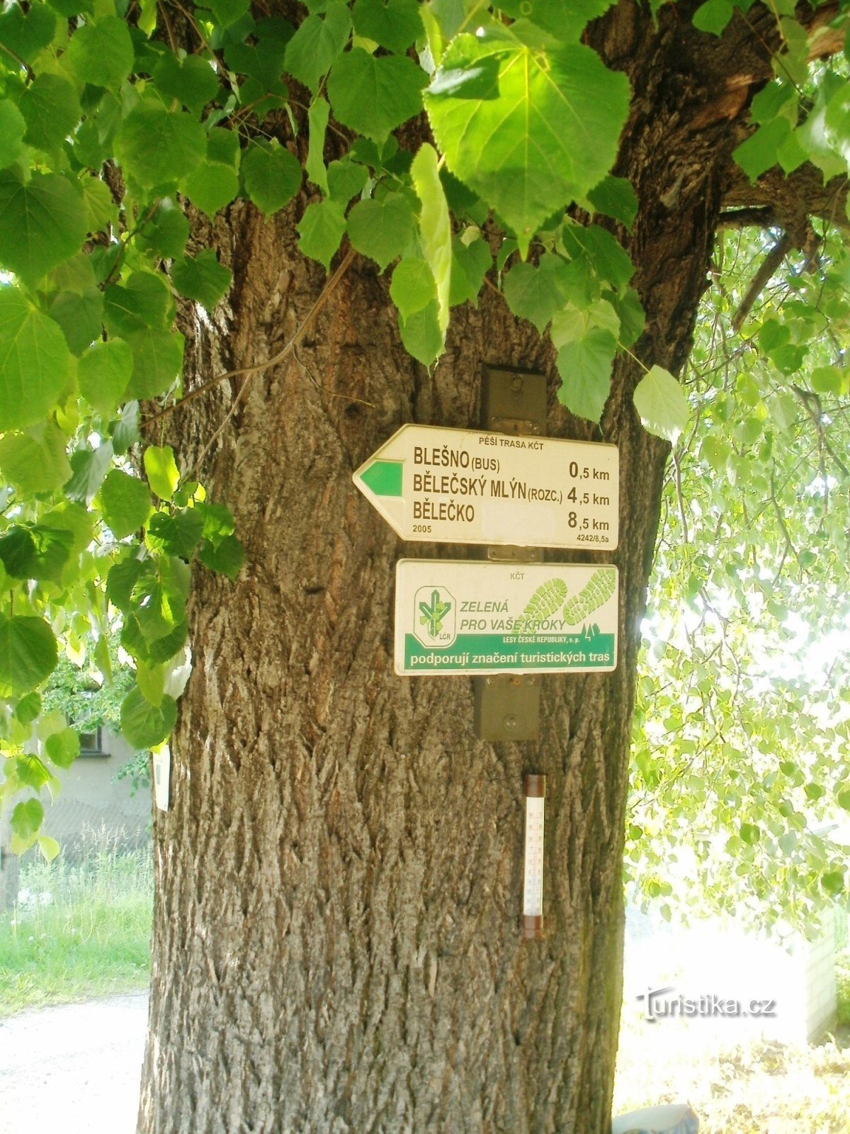 観光交差点 Blešno - 鉄道