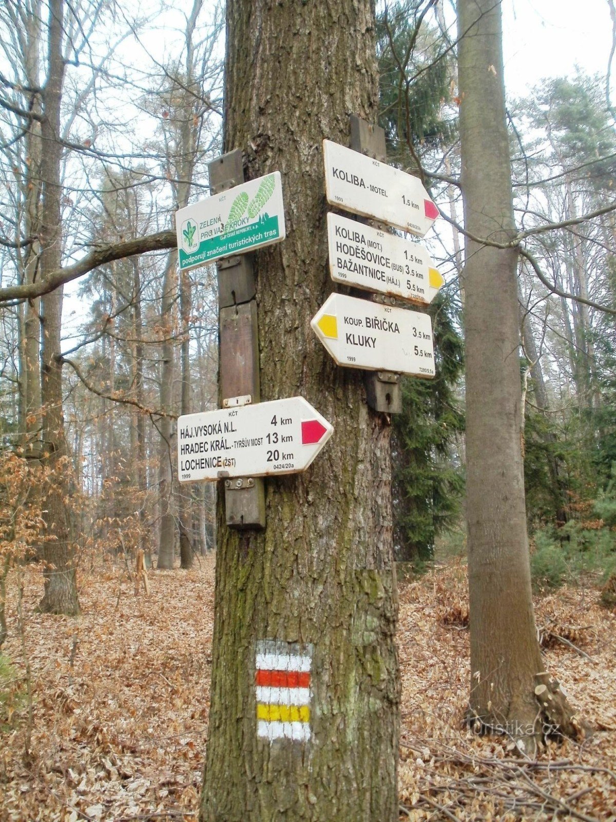 toeristisch kruispunt Borkovník - Hradecké lesy