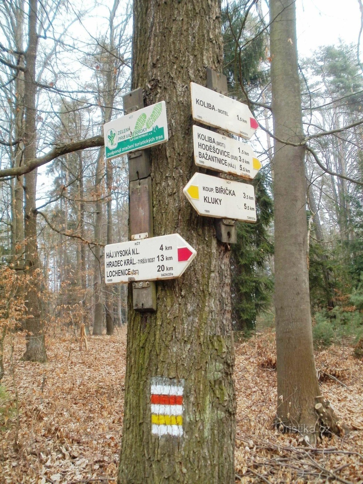 turistické rozcestí Borkovník - Hradecké lesy