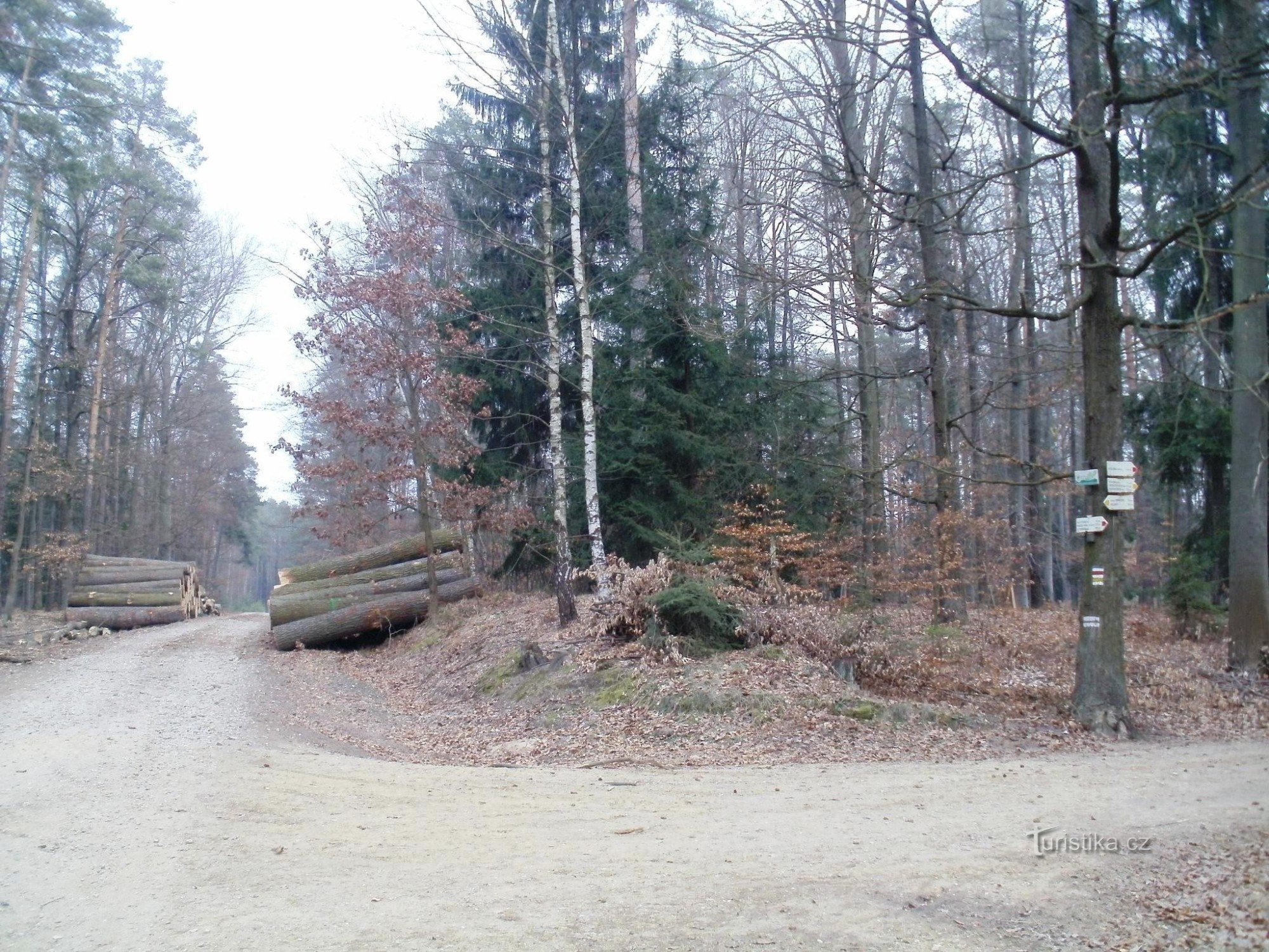 tourist crossroads Borkovník - Hradecké lesy