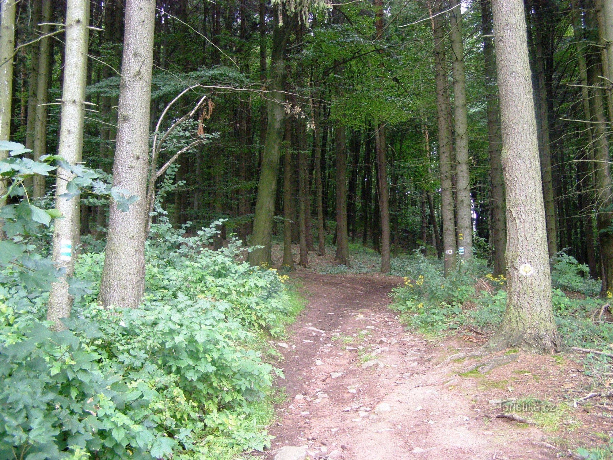 turističko raskrižje Bradlec - sjeverno raskrižje