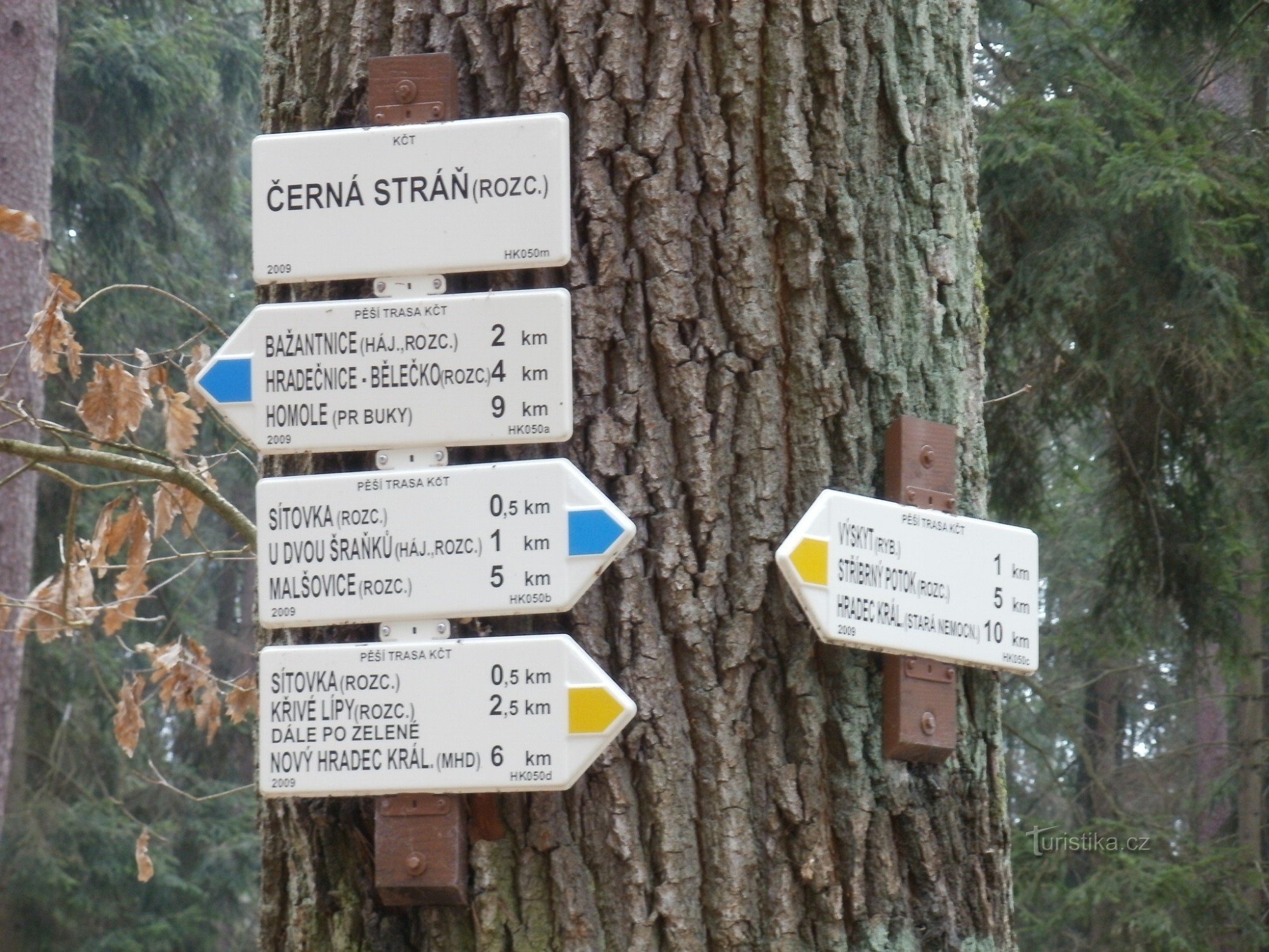 Touristenkreuzung Černá stráň - Hradecké lesy