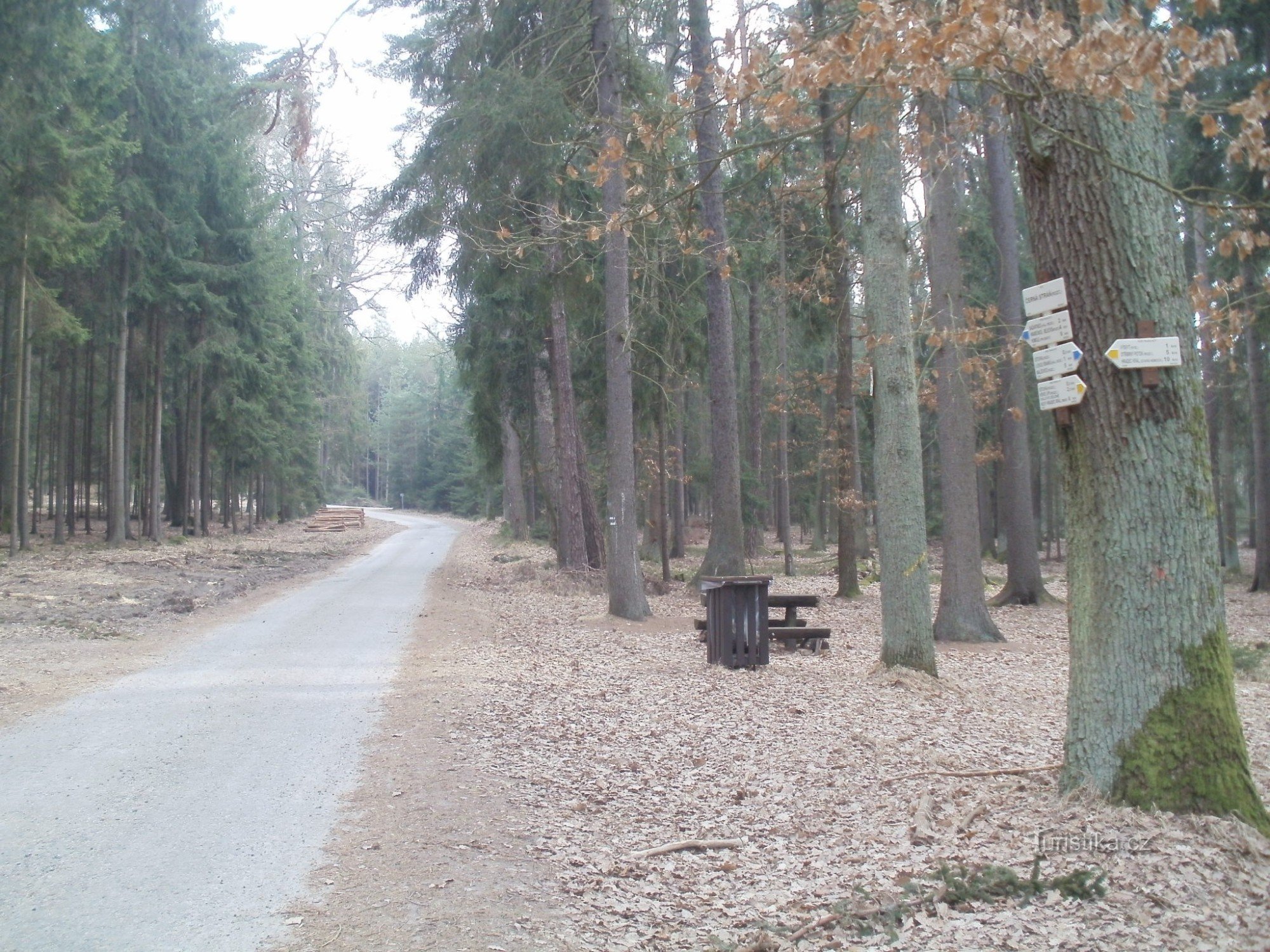 răscruce turistică Černá stráň - Hradecké lesy