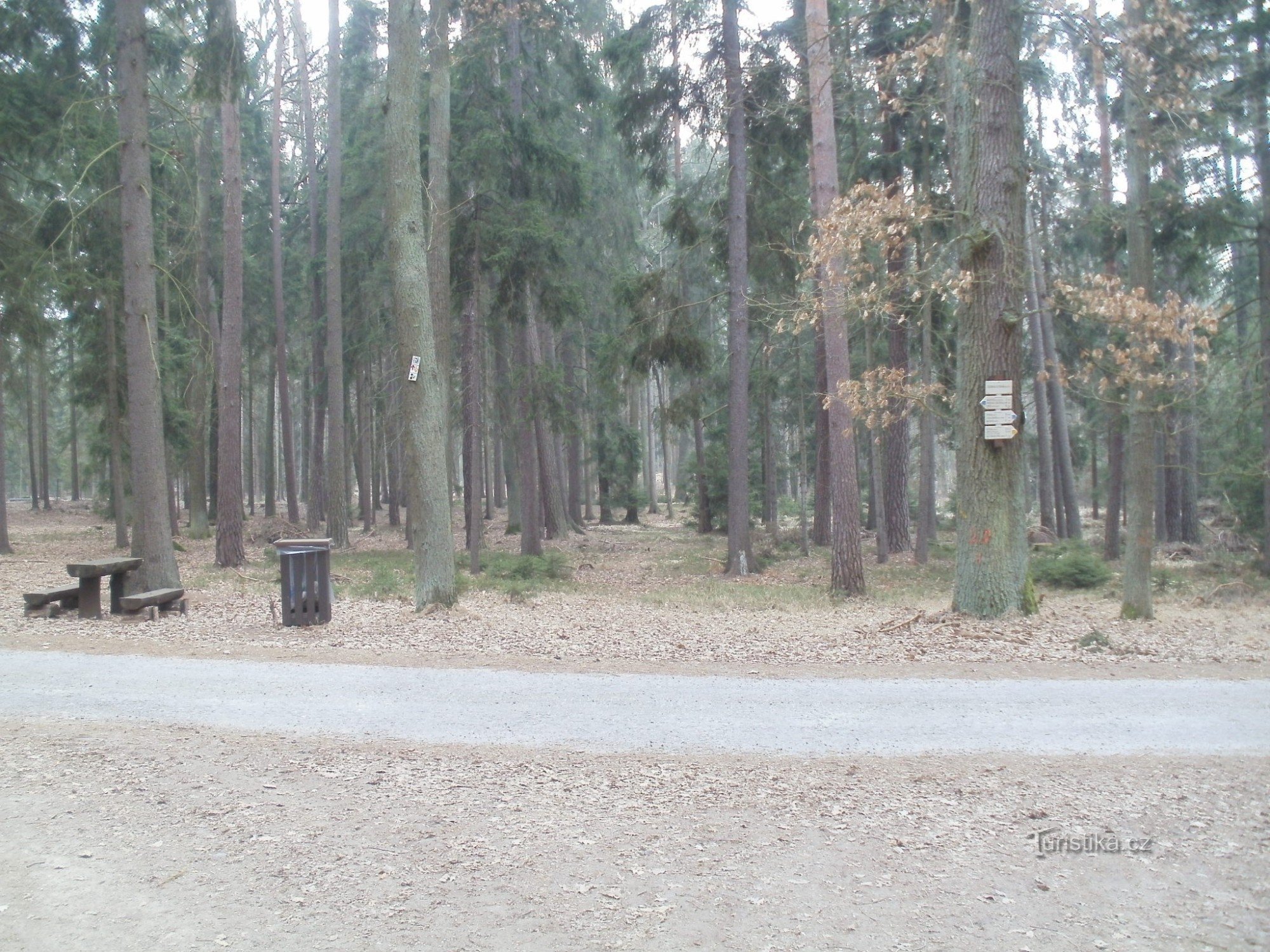 tourist crossroads Černá stráň - Hradecké lesy