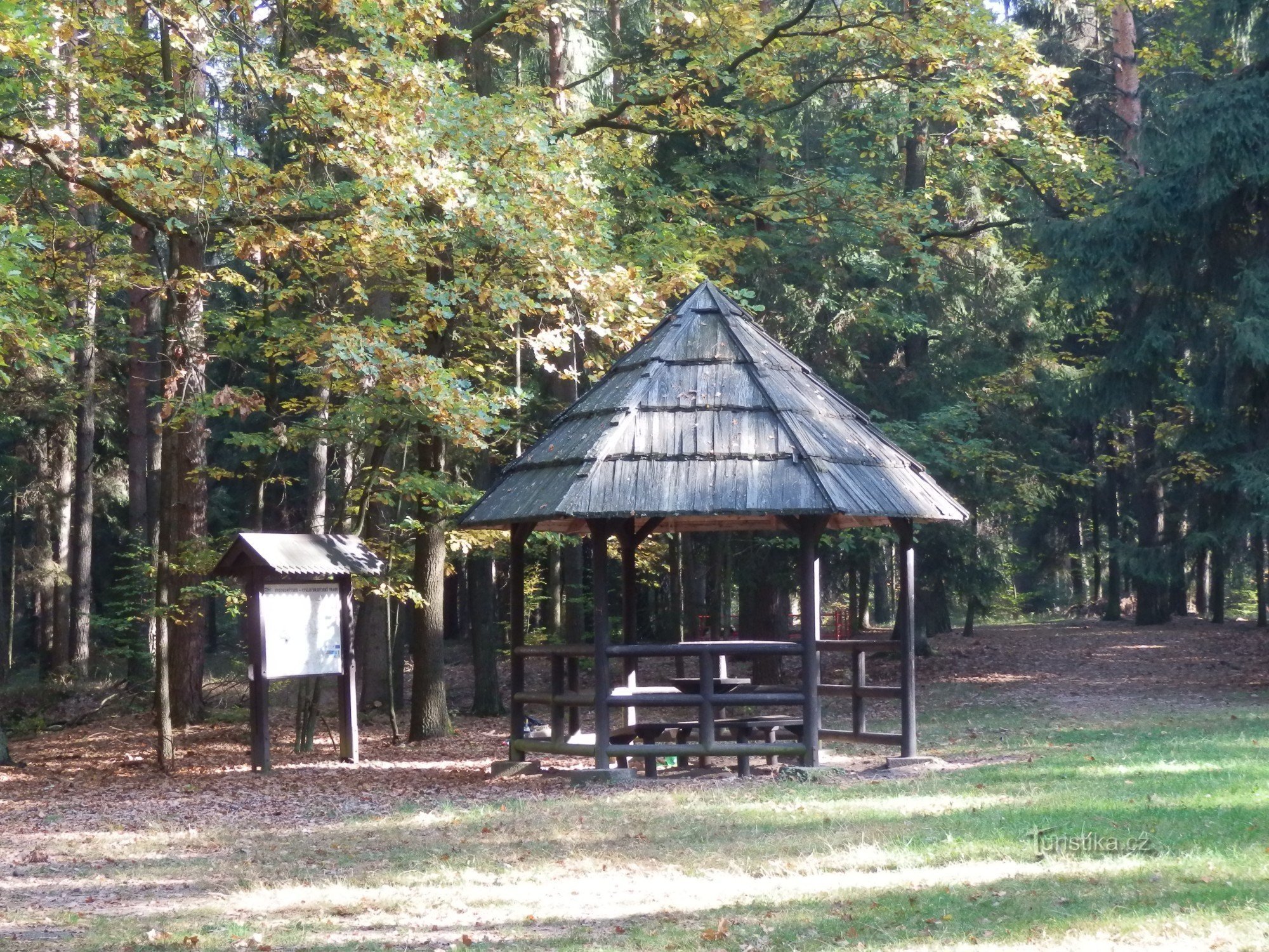 Devil's oak tourist crossroads